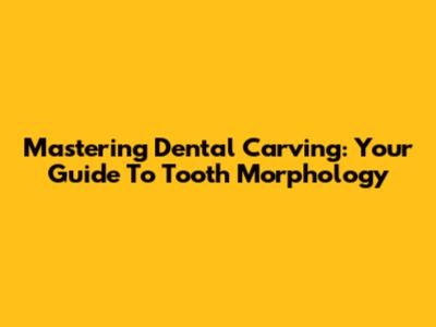 Mastering Dental Carving: Your Guide To Tooth Morphology