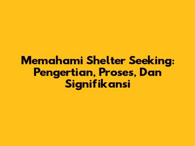 Memahami Shelter Seeking: Pengertian, Proses, Dan Signifikansi