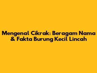 Mengenal Cikrak: Beragam Nama & Fakta Burung Kecil Lincah