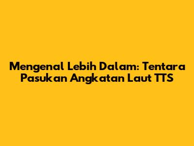 Mengenal Lebih Dalam: Tentara Pasukan Angkatan Laut TTS