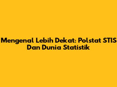 Mengenal Lebih Dekat: Polstat STIS Dan Dunia Statistik