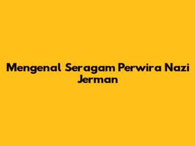 Mengenal Seragam Perwira Nazi Jerman