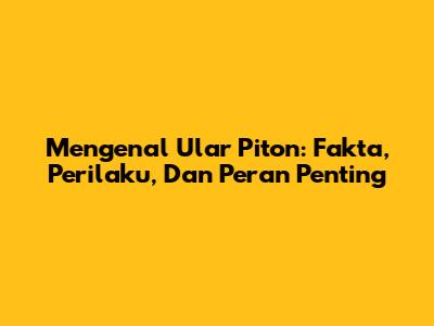 Mengenal Ular Piton: Fakta, Perilaku, Dan Peran Penting