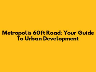 Metropolis 60ft Road: Your Guide To Urban Development