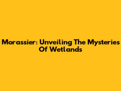 Morassier: Unveiling The Mysteries Of Wetlands