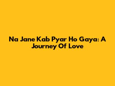 Na Jane Kab Pyar Ho Gaya: A Journey Of Love
