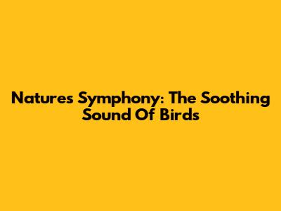 Nature's Symphony: The Soothing Sound Of Birds