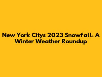 New York City's 2023 Snowfall: A Winter Weather Roundup