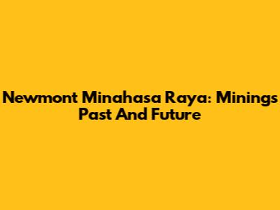 Newmont Minahasa Raya: Mining's Past And Future