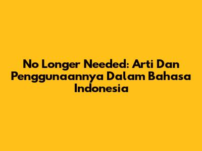 No Longer Needed: Arti Dan Penggunaannya Dalam Bahasa Indonesia