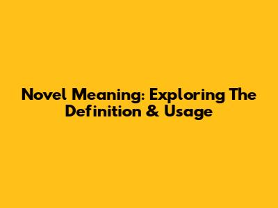Novel Meaning: Exploring The Definition & Usage