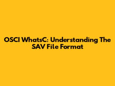 OSCI WhatsC: Understanding The SAV File Format