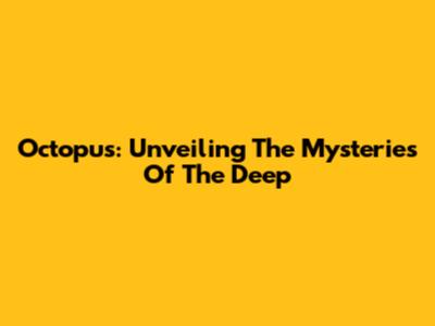 Octopus: Unveiling The Mysteries Of The Deep