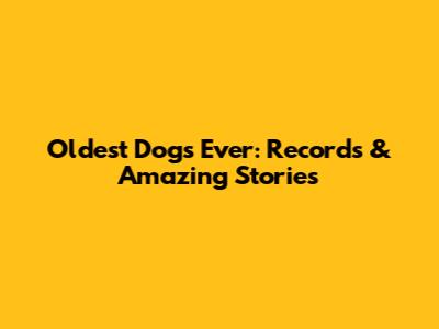 Oldest Dogs Ever: Records & Amazing Stories