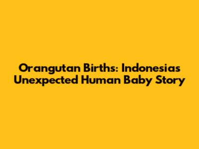 Orangutan Births: Indonesia's Unexpected Human Baby Story