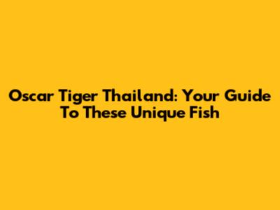Oscar Tiger Thailand: Your Guide To These Unique Fish
