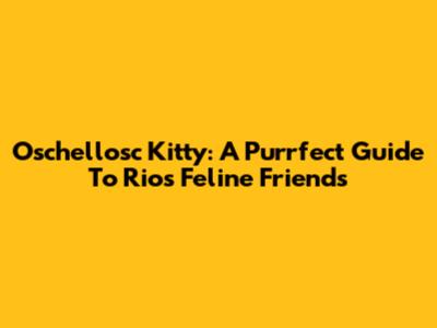 Oschellosc Kitty: A Purrfect Guide To Rio's Feline Friends