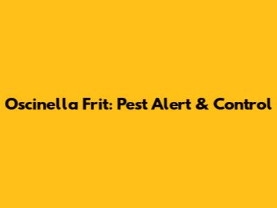 Oscinella Frit: Pest Alert & Control