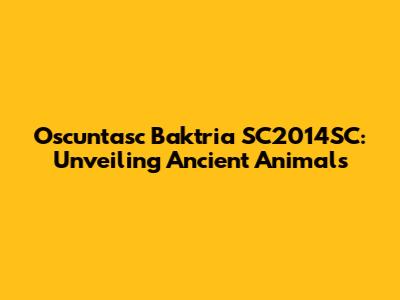 Oscuntasc Baktria SC2014SC: Unveiling Ancient Animals