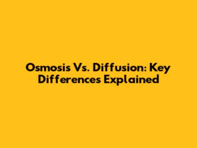 Osmosis Vs. Diffusion: Key Differences Explained