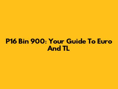 P16 Bin 900: Your Guide To Euro And TL