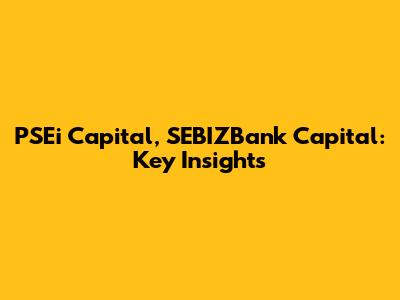 PSEi Capital, SEBIZBank Capital: Key Insights