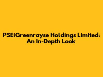 PSEiGreenrayse Holdings Limited: An In-Depth Look