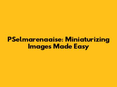 PSelmarenaaise: Miniaturizing Images Made Easy