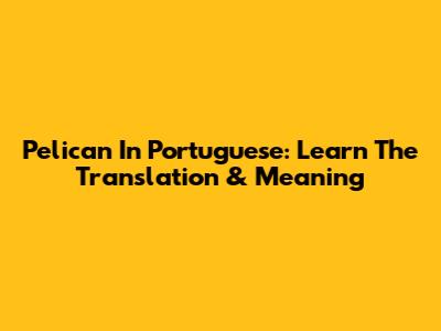 Pelican In Portuguese: Learn The Translation & Meaning
