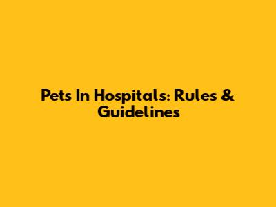 Pets In Hospitals: Rules & Guidelines