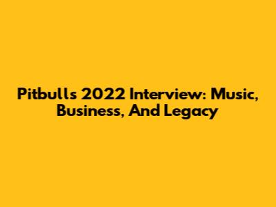 Pitbull's 2022 Interview: Music, Business, And Legacy
