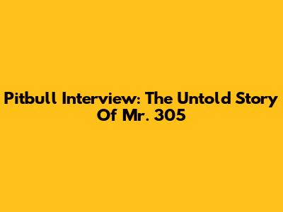 Pitbull Interview: The Untold Story Of Mr. 305