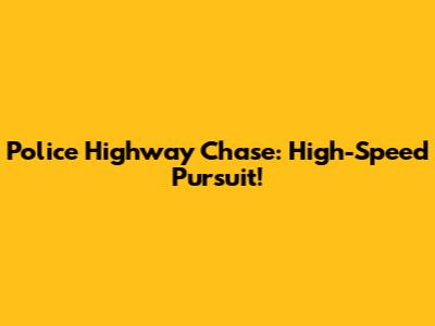 Police Highway Chase: High-Speed Pursuit!