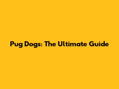 Pug Dogs: The Ultimate Guide