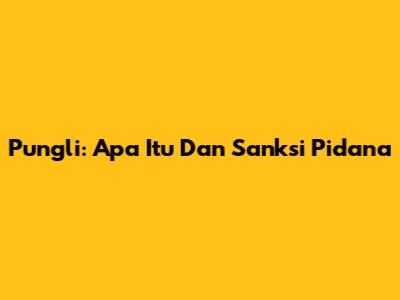 Pungli: Apa Itu Dan Sanksi Pidana