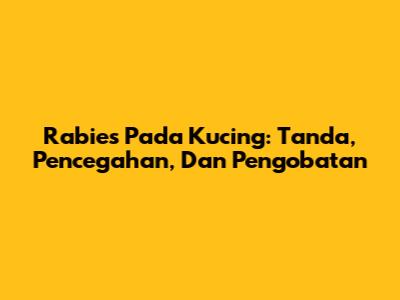 Rabies Pada Kucing: Tanda, Pencegahan, Dan Pengobatan