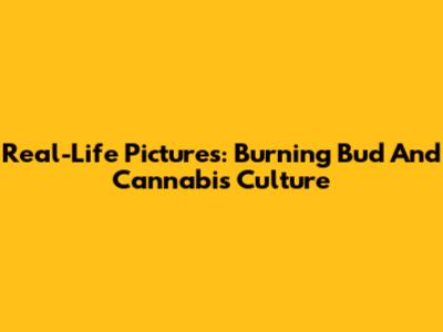 Real-Life Pictures: Burning Bud And Cannabis Culture