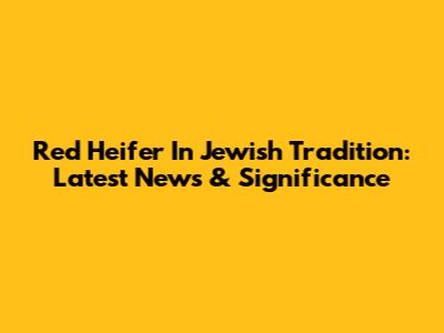 Red Heifer In Jewish Tradition: Latest News & Significance