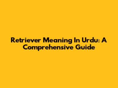 Retriever Meaning In Urdu: A Comprehensive Guide