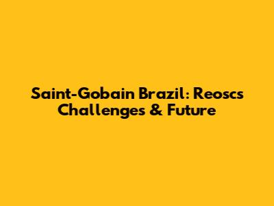Saint-Gobain Brazil: Reosc's Challenges & Future