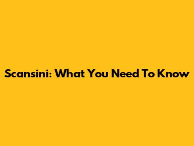 Scansini: What You Need To Know
