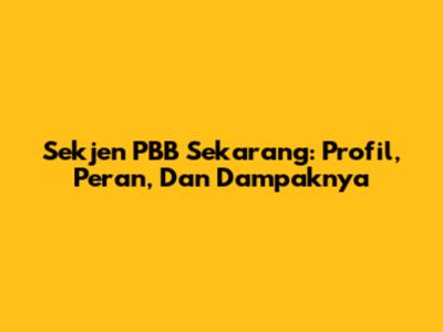 Sekjen PBB Sekarang: Profil, Peran, Dan Dampaknya