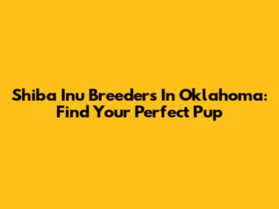 Shiba Inu Breeders In Oklahoma: Find Your Perfect Pup