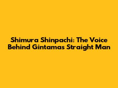 Shimura Shinpachi: The Voice Behind Gintama's Straight Man