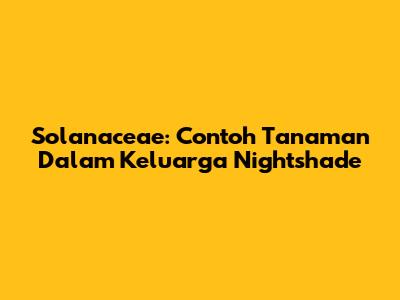 Solanaceae: Contoh Tanaman Dalam Keluarga Nightshade