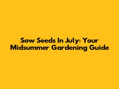 Sow Seeds In July: Your Midsummer Gardening Guide