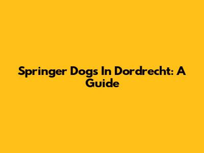 Springer Dogs In Dordrecht: A Guide