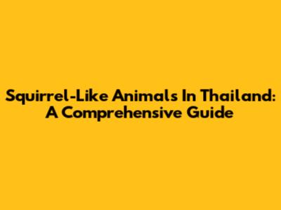 Squirrel-Like Animals In Thailand: A Comprehensive Guide