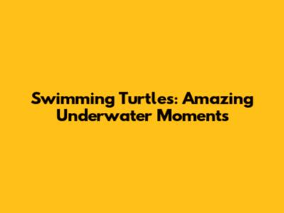 Swimming Turtles: Amazing Underwater Moments