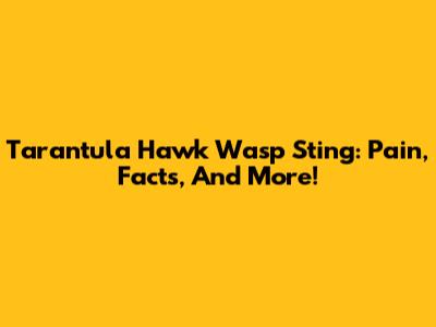 Tarantula Hawk Wasp Sting: Pain, Facts, And More!
